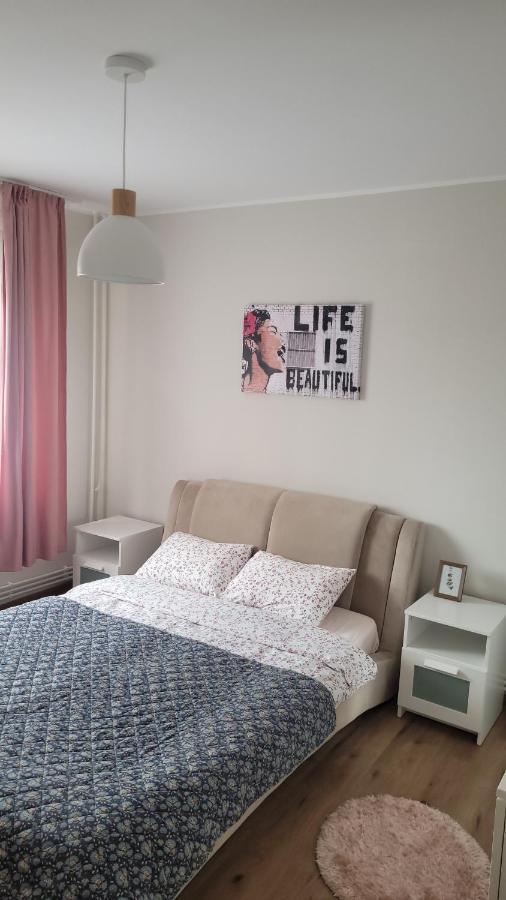 Apartmán Apartament Central Iasi Exteriér fotografie